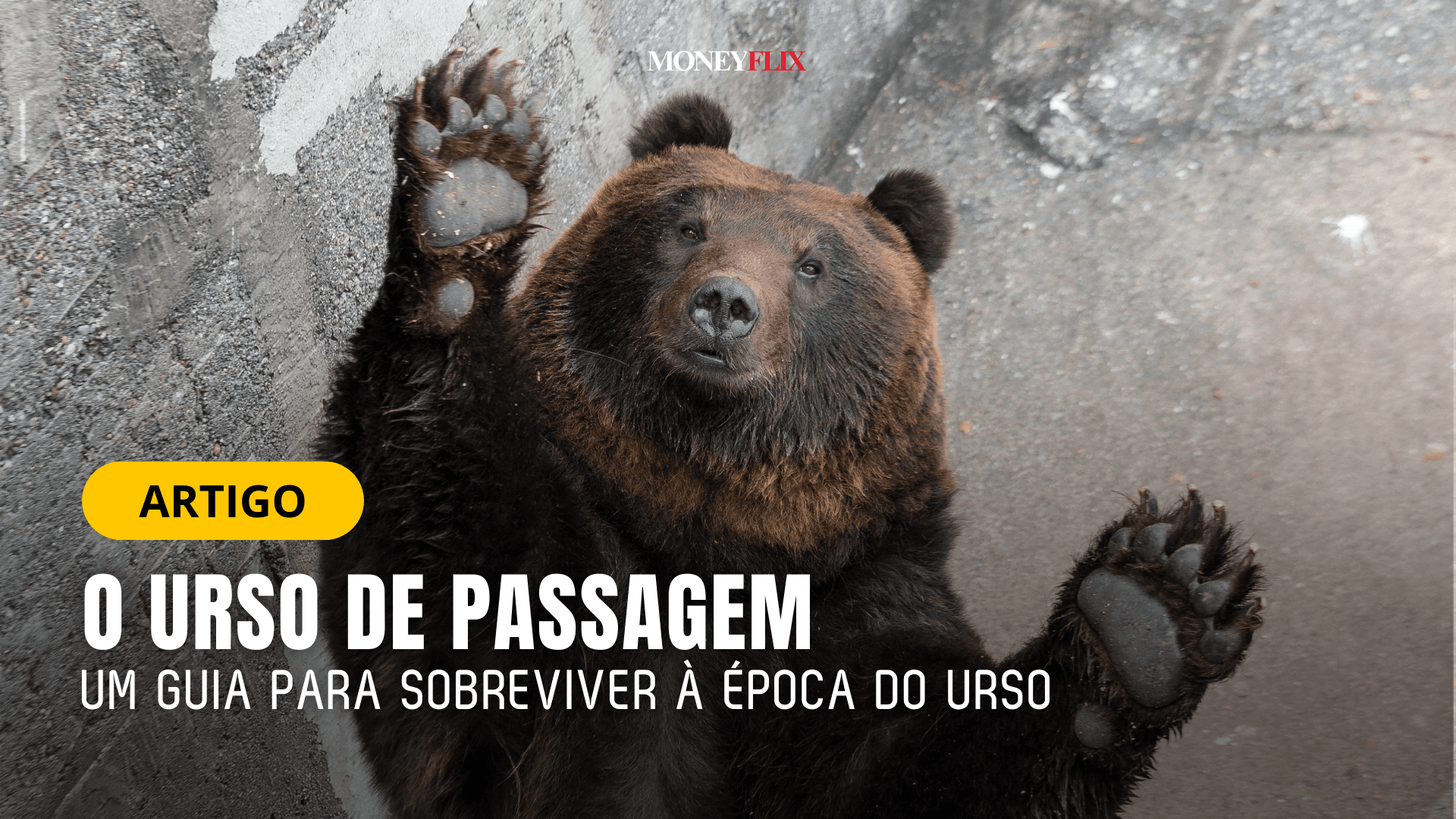 O Urso de Passagem