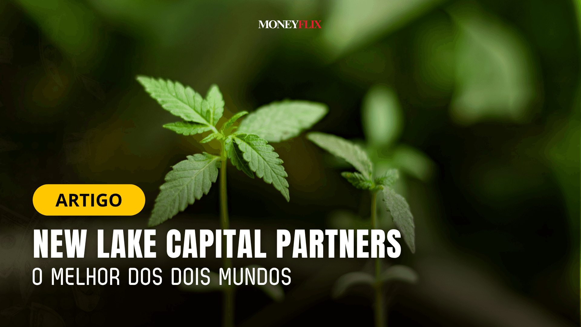 New Lake Capital Partners